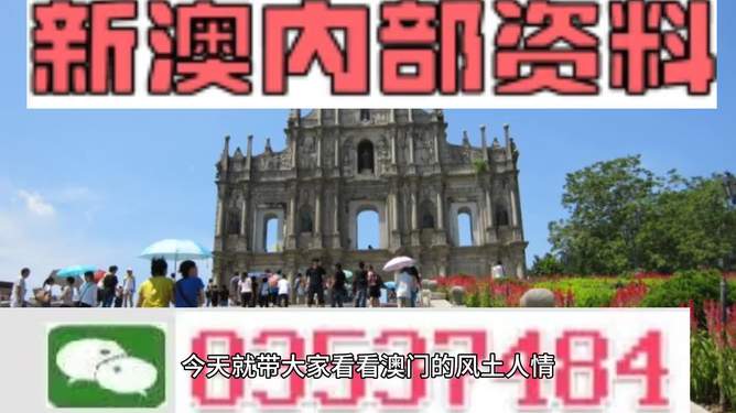 2024年新澳芳草地资料-精选解释解析落实