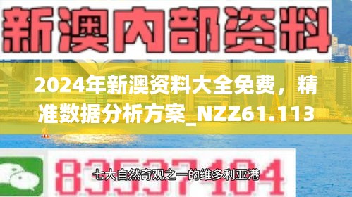 2024年新澳精准资料免费提供-精选解释解析落实