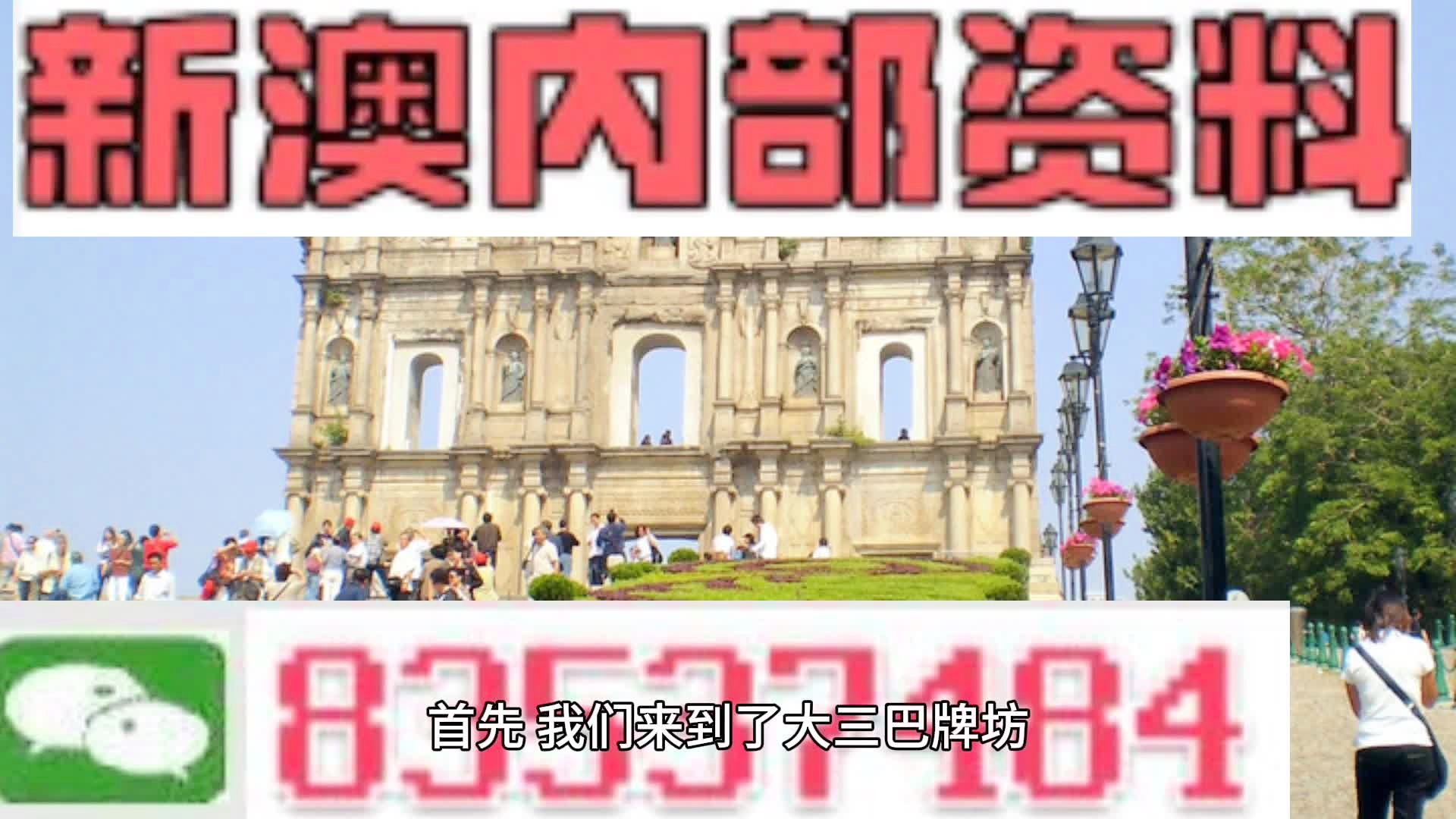 2024新澳历史开奖-精选解释解析落实